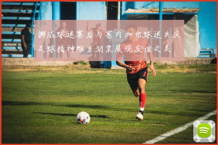 挪威球迷赛后与塞内加尔球迷共庆足球精神维京划桨展现友谊之美