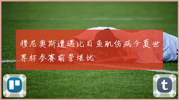 穆尼奥斯遭遇比目鱼肌伤病今夏世界杯参赛前景堪忧