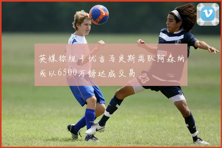 英媒称纽卡忧吉马良斯离队阿森纳或以6500万镑达成交易