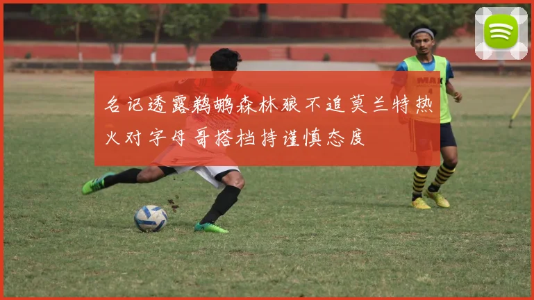 名记透露鹈鹕森林狼不追莫兰特热火对字母哥搭档持谨慎态度
