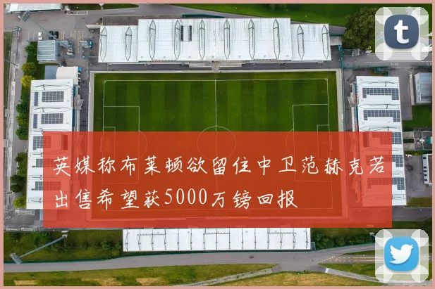 英媒称布莱顿欲留住中卫范赫克若出售希望获5000万镑回报